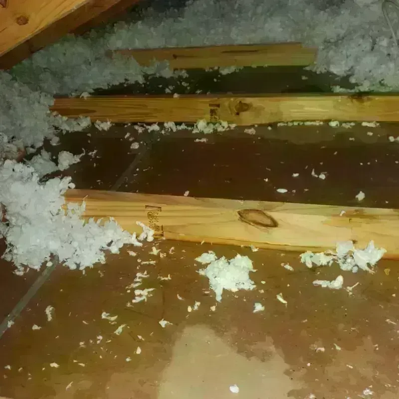 Attic Water Damage in Burnet, TX